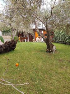 Nura's - Casa Marina img30