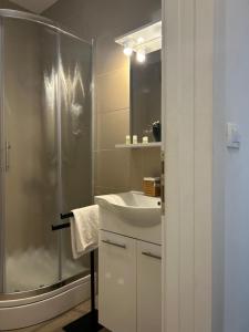 MARTON & MARTINIS SUPERIOR APARTMENTS - spacious one-room apartments - excellent location within walking distance of Diocletians Palace and Bacvice Beach - the best restaurants within walking distance