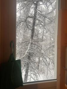 Logement à VARS-LES-CLAUX - Départ pieds des pistes