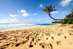 KBM Resorts FREE CAR Beach Villas at Ko Olina BVK-B-308 Beachfront Villa