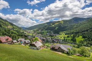 Panorama-Appartement Bergglück