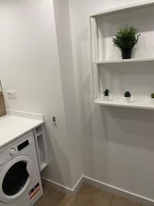 Apartamentos Hiedra y Tapinería Mercado Central