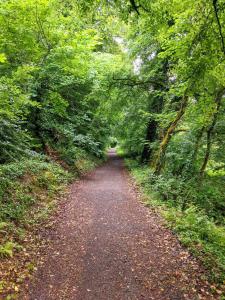 Beautiful home in Thomastown