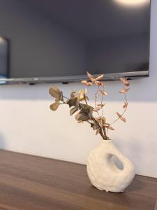 Opal Suites, St Julians