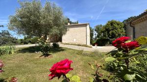 Domaine Léa Chanflaur - Spa - La maison du bonheur