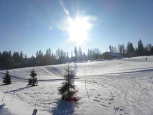 Hotels Etoile des Neiges Hotel et Piscine : photos des chambres
