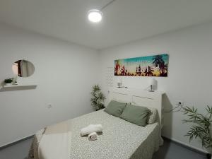 RenTenerife El Medano Beach Life