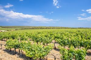 Villages vacances HOLIDAYLAND BAIE DES OLIVIERS VILLA 36m2 1chambre fermee 6 couchages ou VILLA 41M2 2chambres fermees 7 couchages : photos des chambres
