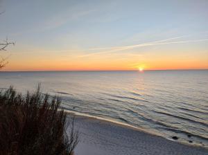 Róża Wiatrów Leśny Klif 2