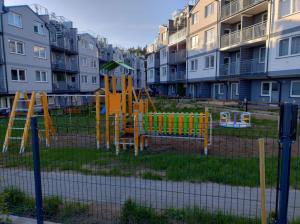 Róża Wiatrów Leśny Klif 2