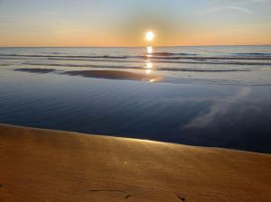 Róża Wiatrów Leśny Klif 2