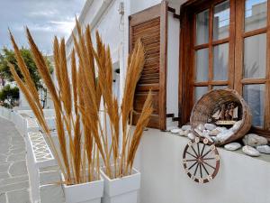 ASPRO house