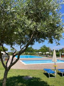 Calilla Home-appartamento Scirocco