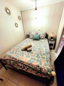 Appartements Le nid des Landes : photos des chambres