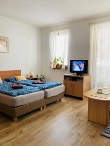 Apartmán Karo, oddych v centre Oščadnice