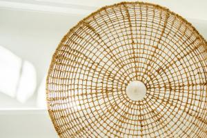 Ocean Dream Dolphin View