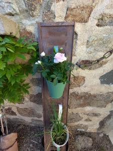B&B / Chambres d'hotes La Provende : photos des chambres