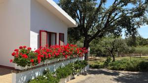 Finca Sa Cova de Mallorca