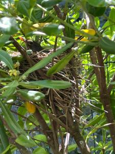 Da Serena come a casa tua