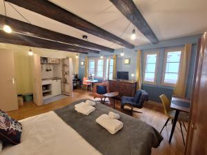 Maison Cliquot - Appartements Colmar Centre : photos des chambres