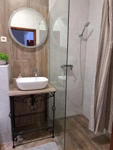 Pansion Ivana studios