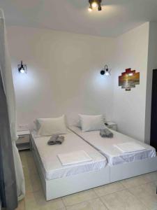 SUMMER ESCAPE studios