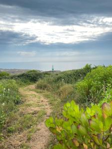 Appartements Agreable studio sous les toits - Parking - WiFi : photos des chambres