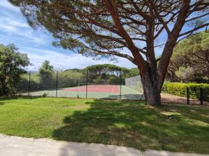 B&B / Chambres d'hotes Lei Souco : photos des chambres