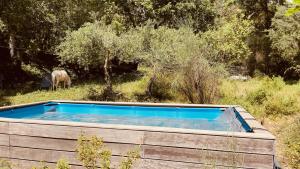 Chalet avec piscine privée dans la forêt