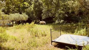 Chalets Chalet avec piscine privee dans la foret : photos des chambres