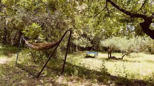 Chalets Chalet avec piscine privee dans la foret : photos des chambres