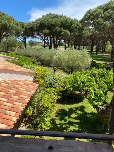 B&B / Chambres d'hotes Lei Souco : photos des chambres