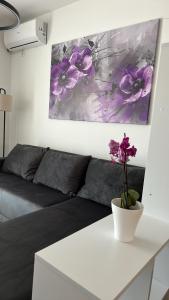 Apartman Pčelica Sombor