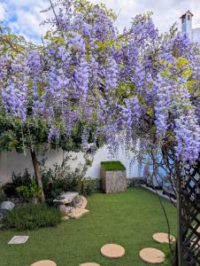 La casa del glicine Marrubiu img2