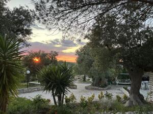 Villa dei Tigli - trulli e relax