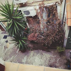 Appartements Calme et central : photos des chambres