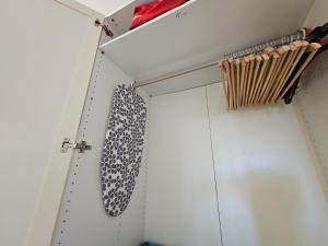 La flabellina blu img48