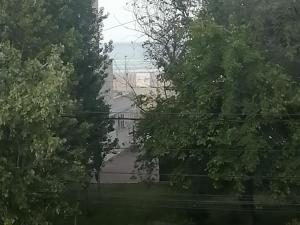 MARIA Sea View Lake ON