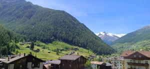 Appartamento Edelweiss