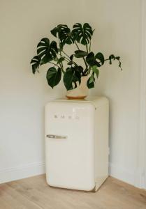 Maisons de vacances LaChillmaisonnette : photos des chambres