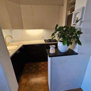 Room in Green Deluxe