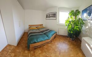 Room in Green Deluxe