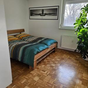 Room in Green Deluxe