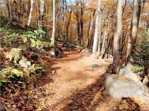 Cozy Stay with Balcony, BBQ & Trails, Near Lake Lyster