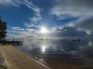 VILLA ESCAPADES AU FERRET idéal Famille ou groupe dAmis avec piscine chauffée 5 chambres Proche plages et pistes cyclables commerces Séjour paisible au cœur du Bassin dArcachon Nous répondons très rapidement aux demandes de renseignements