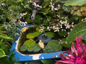 Terra Chã Cottage,FEEL Home,