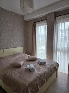 Cozy Apartment 202 in Bakuriani Tsakadze st20