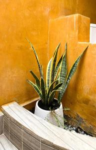 Sun-San Thalane Resort