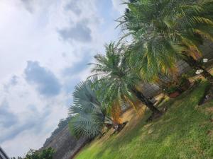 Chácara Recanto das Corujas Jarinu 20 pessoas