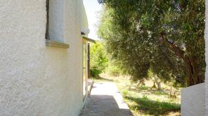 Country House - La Prunosa img29